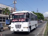 Asociaci�n Cooperativa R.S. Ezequiel Zamora 55