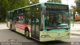 Baden Baden Linie 169 Mercedes-Benz O-530 Citaro Mercedes-Benz O-530