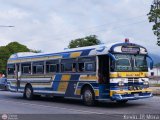 Transporte Agua Blanca 40