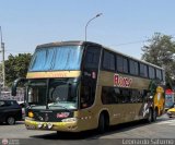 Transporte Flores Hermanos S.R.L (Per) 960
