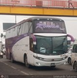 Romn Tours 901 Higer KLQ6129QL Higer Bus KLQ6896 (Cummins 230HP)