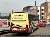 E.T. Per� Bus S.A. 719 por Leonardo Saturno