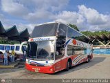 Expresos Occidente 325