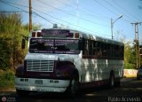 Colectivos Transporte Libertad C.A. 13