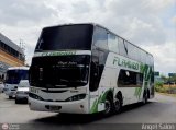 Expresos Flamingo 0051 por �ngel Sal�n