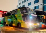 Empresa Peruana Pendiente 950