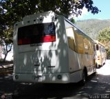 Particular 999, por Waldir Mata