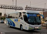 E.T. Maleo VIP (Per) 954a