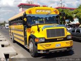 ZU - Ruta 6 013 Ward Body Works Volunteer International 3800