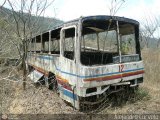 En Chiveras Abandonados Recuperacin Expresos Camargui 12