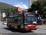 Trolmerida - Tromerca 12