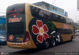 Transporte Flores Hermanos S.R.L (Per) 956.., por Leonardo Saturno