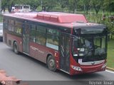 TransAragua S.A. 77 Yutong ZK6118HGA GNC (Segunda Gen) Integral Cummins ISLgeEV 320Hp