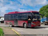 A.C. R�mulo Gallegos 53