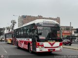 Foto anterior 