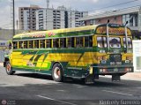 Transporte Palo Negro La Morita 2 027