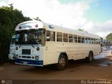 AN - A.C. de Conductores Divino Nio 019 Blue Bird TC2000 Blue Bird Diesel 01