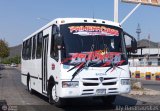 Transporte Virgen del Carmen 12, por Aly Baranauskas