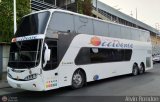 Expresos Occidente 310 por Alvin Rondn