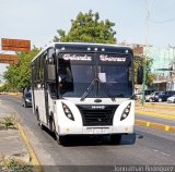 Unin Colonia Tovar C.A. 99