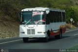 U.C. Caracas - Los Caracas 401, por Pablo Acevedo