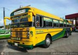 ZU - Colectivos Concepcin 052