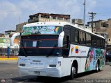 Expresos La Guayanesa 318
