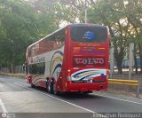 Expresos Occidente 325