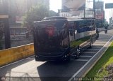The Bus Bar 01