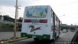 S.C. Lnea Transporte Expresos Del Chama 141