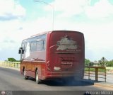 TransApure 19