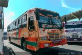 L�nea Sanare 011 por Maikelvis Monroy
