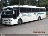 Expresos Bolivarianos 52