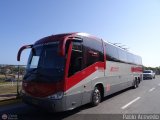Aeroexpresos Ejecutivos 1137