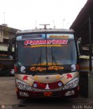 Panamericana Internacional 503 Marcopolo Viaggio Gv1000 Volkswagen 18.310 EOT