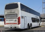 Expresos Flamingo 0071