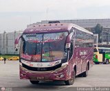 Carlos Brito B. 2994 Artesanal o Desconocido Sin Nombre Hino AK500