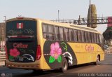 Cetur S.R.L. 954 Comil Campione Invictus 1050 Volvo B380R