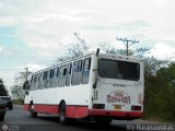 Transporte Guacara 2001, por Aly Baranauskas