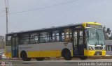 Per Bus Internacional - Corredor Amarillo 2003 Modasa Titn Corredor Agrale MA 17.0