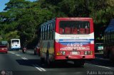 Coop. Transporte Menca de Leoni 090