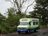 A.C. Lnea San Ramn 23 Wayne Transette Chevrolet Vandura