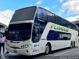 Expresos Flamingo 0341 por Josu� S�nchez