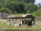 En Chiveras Abandonados Recuperacin 