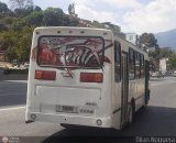 MI - Transporte Uniprados 022