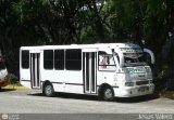 Colectivo Los Andes (Mrida - El Vigia) 997