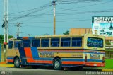 Transporte Bonanza 0033 por Pablo Acevedo
