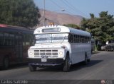 Transporte Colectivo Palo Negro 80, por Carlos Salcedo