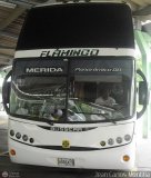 Profesionales del Transporte de Pasajeros Conductores