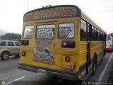 CA - Cooperativa Maongo 40